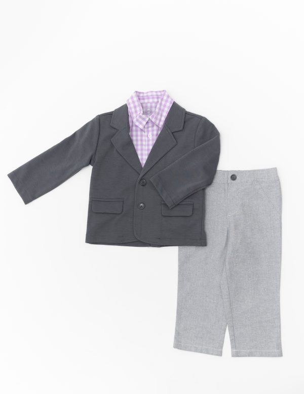 Grey And Purple Suit